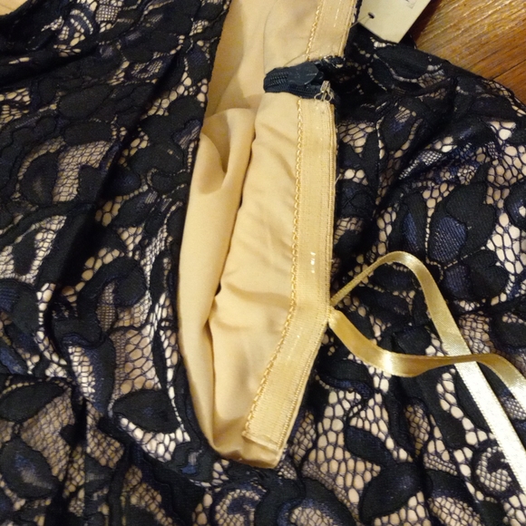 STUNNING Eliza J one shoulder NYSTROMS tea length navy lace dress size 10 - Picture 5 of 15